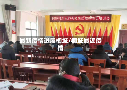 最新疫情进展桐城/桐城最近疫情-第1张图片