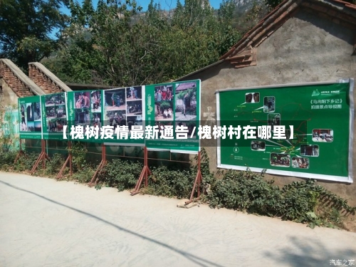 【槐树疫情最新通告/槐树村在哪里】-第1张图片