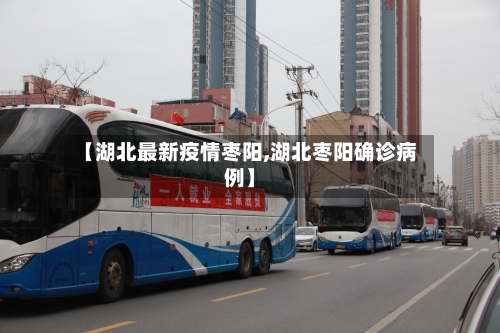 【湖北最新疫情枣阳,湖北枣阳确诊病例】-第1张图片