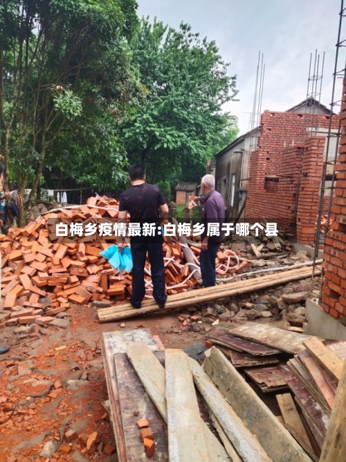白梅乡疫情最新:白梅乡属于哪个县-第1张图片