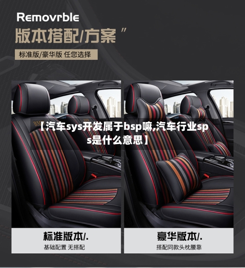 【汽车sys开发属于bsp嘛,汽车行业sps是什么意思】-第1张图片
