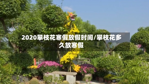 2020攀枝花寒假放假时间/攀枝花多久放寒假-第1张图片