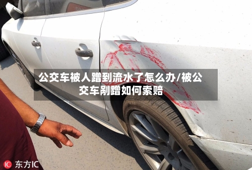 公交车被人蹭到流水了怎么办/被公交车剐蹭如何索赔-第1张图片