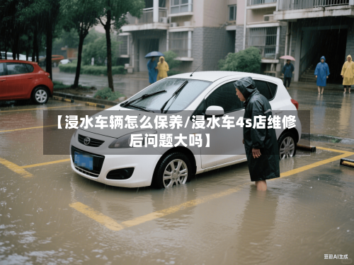 【浸水车辆怎么保养/浸水车4s店维修后问题大吗】-第1张图片
