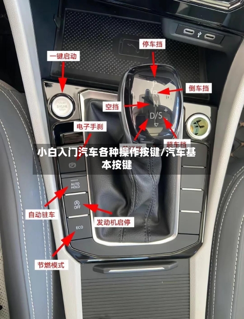 小白入门汽车各种操作按键/汽车基本按键-第1张图片
