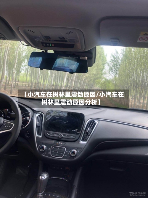 【小汽车在树林里震动原因/小汽车在树林里震动原因分析】-第1张图片