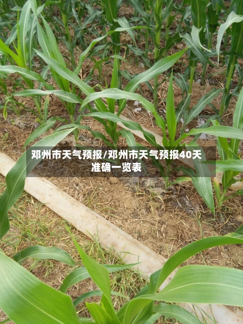 邓州市天气预报/邓州市天气预报40天准确一览表-第1张图片