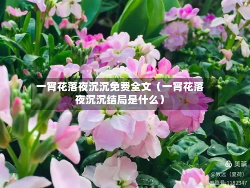 一宵花落夜沉沉免费全文（一宵花落夜沉沉结局是什么）-第1张图片