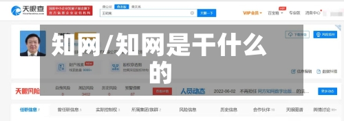 知网/知网是干什么的-第1张图片