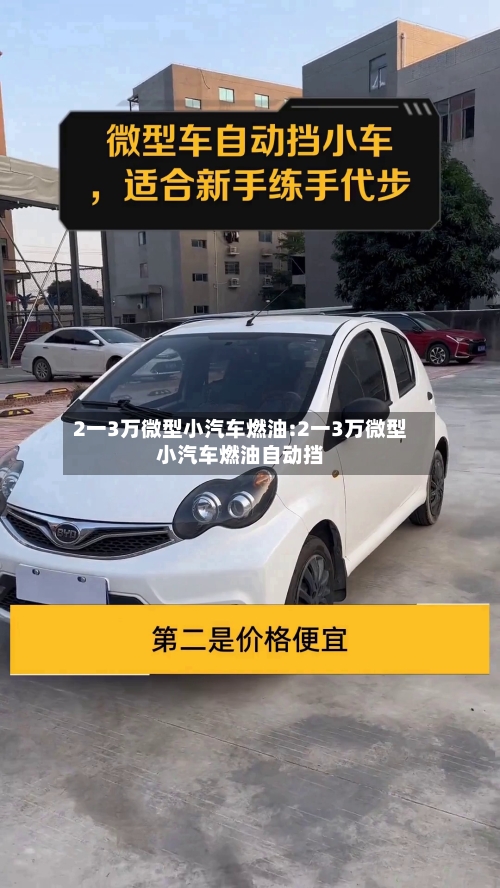 2一3万微型小汽车燃油:2一3万微型小汽车燃油自动挡-第1张图片
