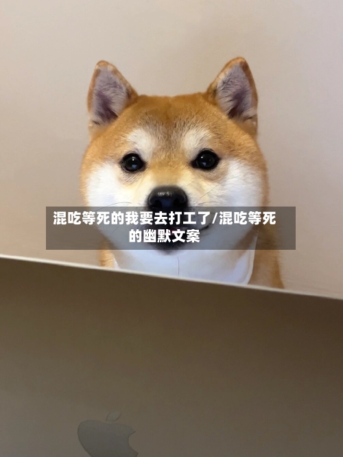 混吃等死的我要去打工了/混吃等死的幽默文案-第1张图片