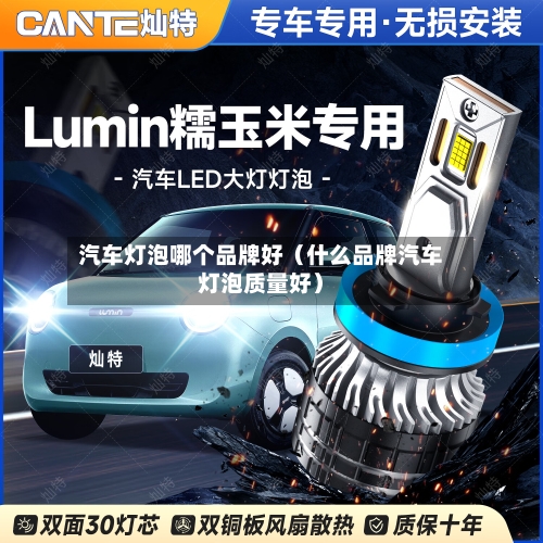 汽车灯泡哪个品牌好(什么品牌汽车灯泡质量好)-第1张图片