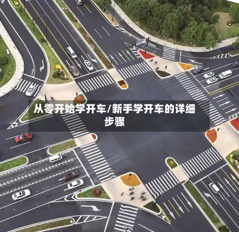 从零开始学开车/新手学开车的详细步骤-第1张图片
