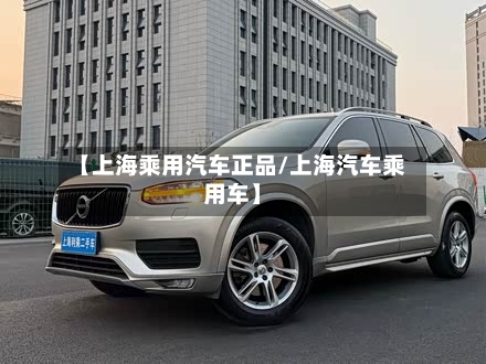 【上海乘用汽车正品/上海汽车乘用车】-第1张图片
