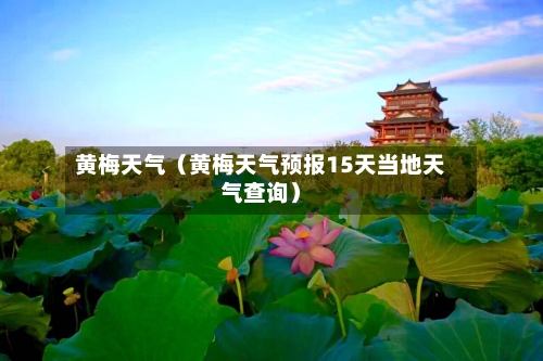 黄梅天气(黄梅天气预报15天当地天气查询)-第1张图片