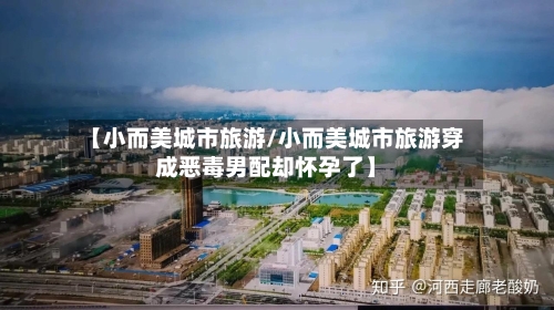 【小而美城市旅游/小而美城市旅游穿成恶毒男配却怀孕了】-第1张图片
