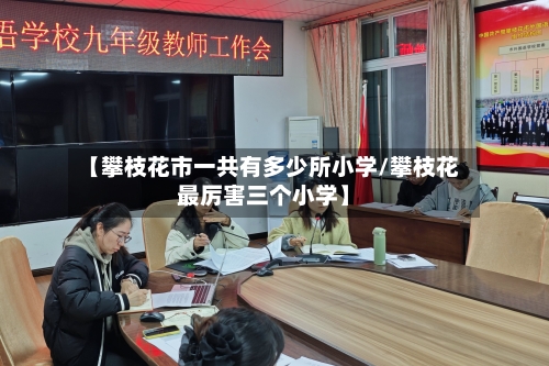 【攀枝花市一共有多少所小学/攀枝花最厉害三个小学】-第1张图片