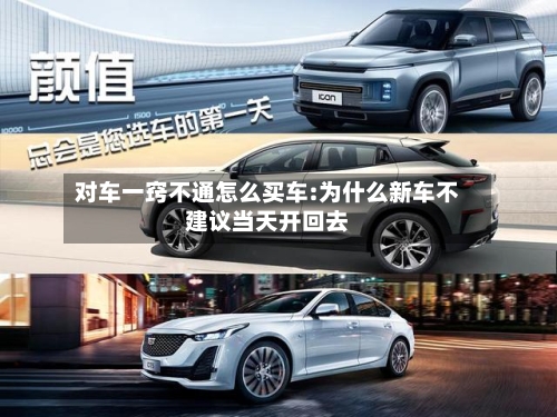对车一窍不通怎么买车:为什么新车不建议当天开回去-第1张图片