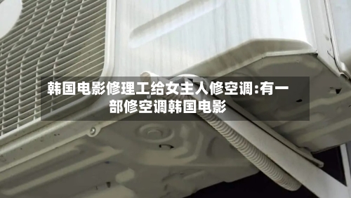 韩国电影修理工给女主人修空调:有一部修空调韩国电影-第1张图片