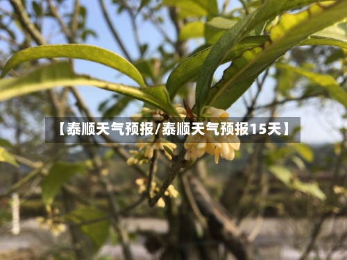 【泰顺天气预报/泰顺天气预报15天】-第1张图片