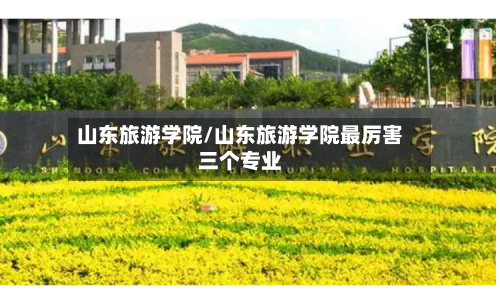 山东旅游学院/山东旅游学院最厉害三个专业
