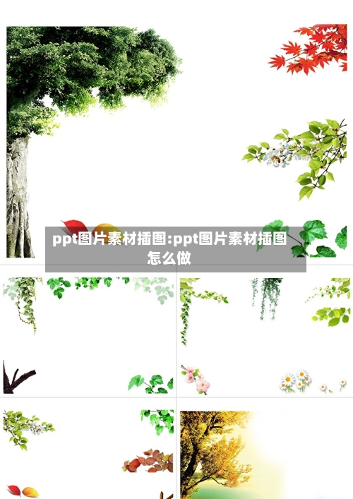ppt图片素材插图:ppt图片素材插图怎么做-第1张图片