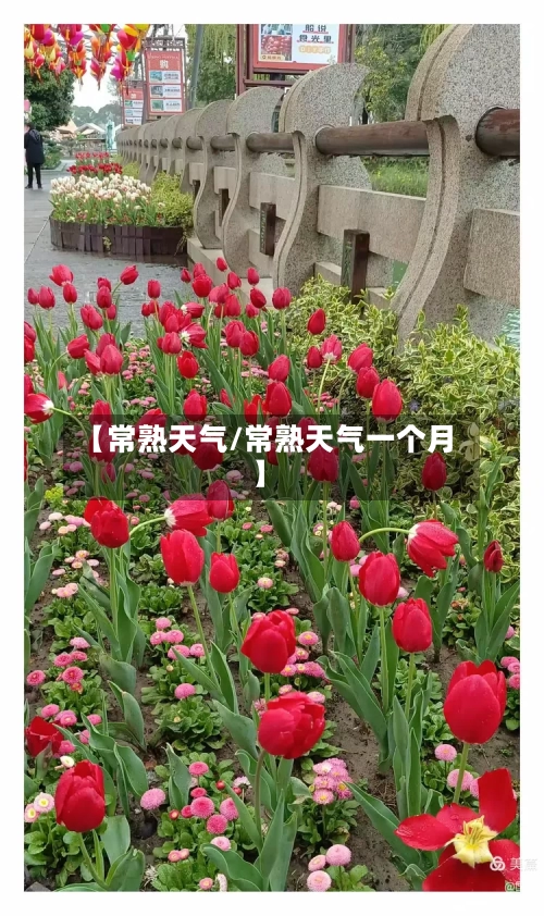 【常熟天气/常熟天气一个月】-第1张图片