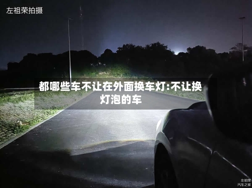 都哪些车不让在外面换车灯:不让换灯泡的车-第1张图片