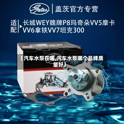 【汽车水泵在哪,汽车水泵哪个品牌质量好】-第1张图片