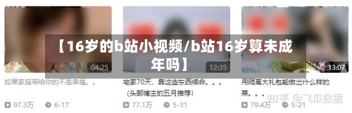 【16岁的b站小视频/b站16岁算未成年吗】-第1张图片