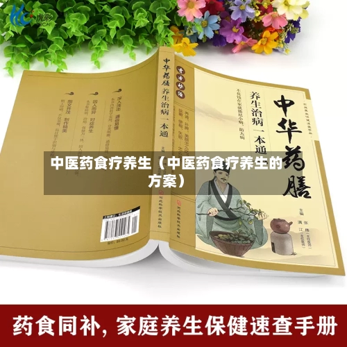 中医药食疗养生（中医药食疗养生的方案）-第1张图片