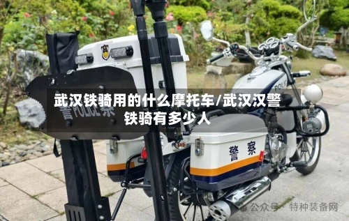 武汉铁骑用的什么摩托车/武汉汉警铁骑有多少人-第1张图片