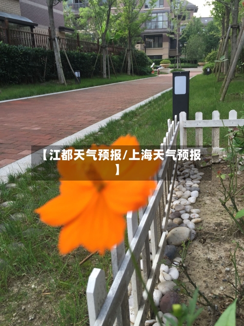 【江都天气预报/上海天气预报】-第1张图片