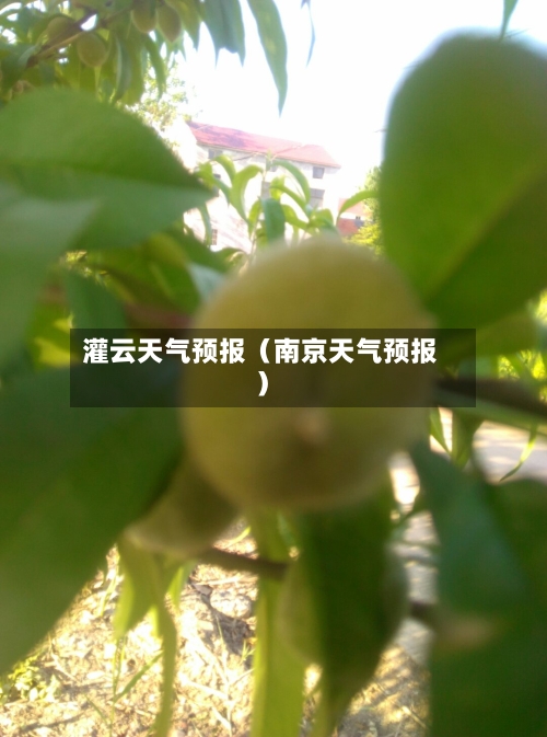 灌云天气预报（南京天气预报）-第1张图片