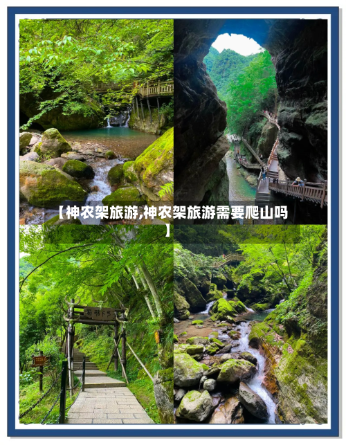 【神农架旅游,神农架旅游需要爬山吗】-第1张图片