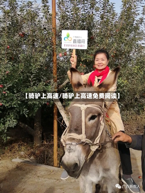 【骑驴上高速/骑驴上高速免费阅读】-第1张图片