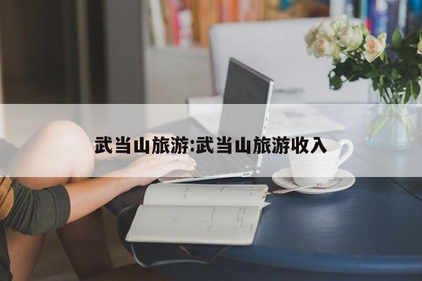 武当山旅游:武当山旅游收入