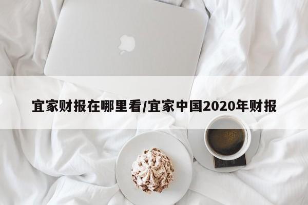 宜家财报在哪里看/宜家中国2020年财报