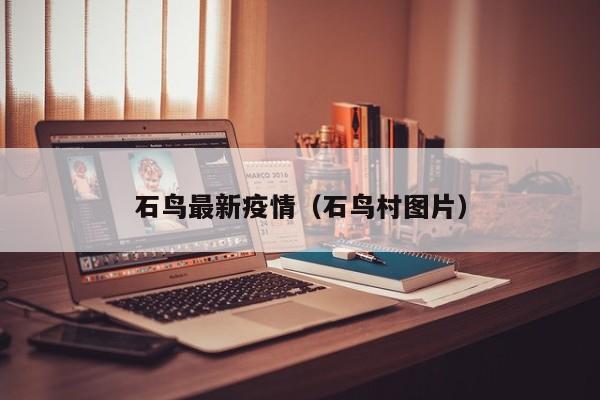 石鸟最新疫情(石鸟村图片)