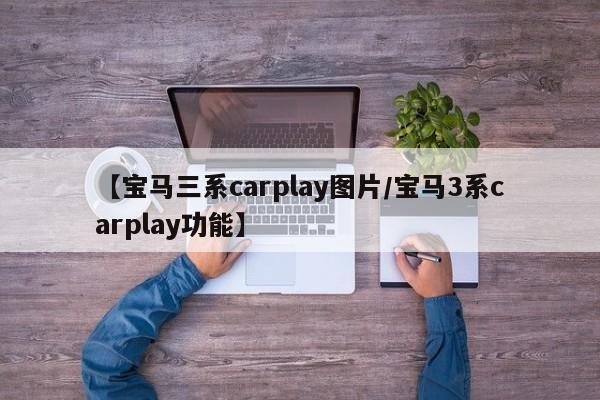 【宝马三系carplay图片/宝马3系carplay功能】