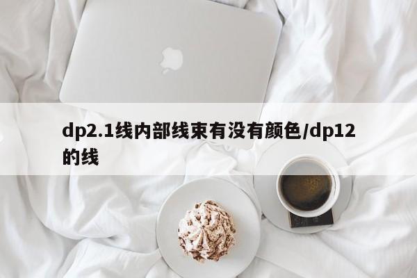 dp2.1线内部线束有没有颜色/dp12的线