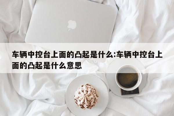 车辆中控台上面的凸起是什么:车辆中控台上面的凸起是什么意思