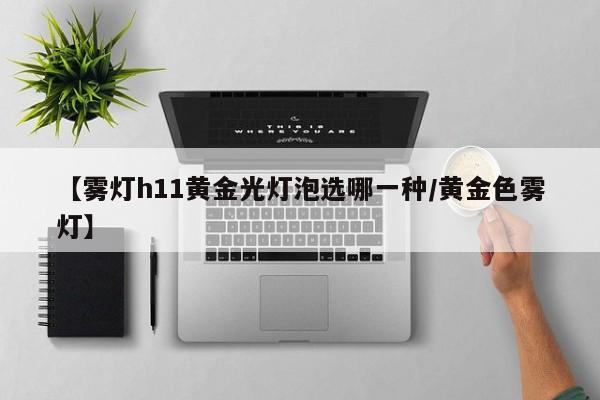 【雾灯h11黄金光灯泡选哪一种/黄金色雾灯】