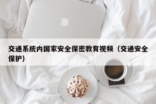 交通系统内国家安全保密教育视频(交通安全保护)
