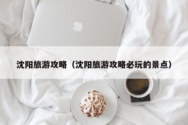 沈阳旅游攻略(沈阳旅游攻略必玩的景点)