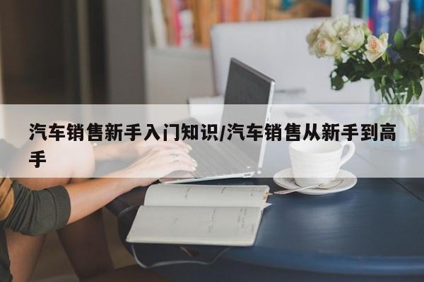 汽车销售新手入门知识/汽车销售从新手到高手