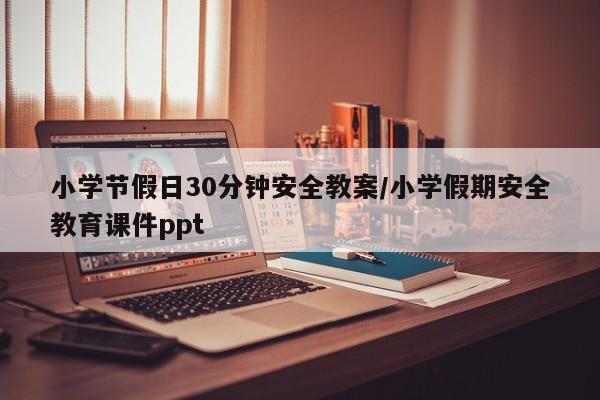 小学节假日30分钟安全教案/小学假期安全教育课件ppt