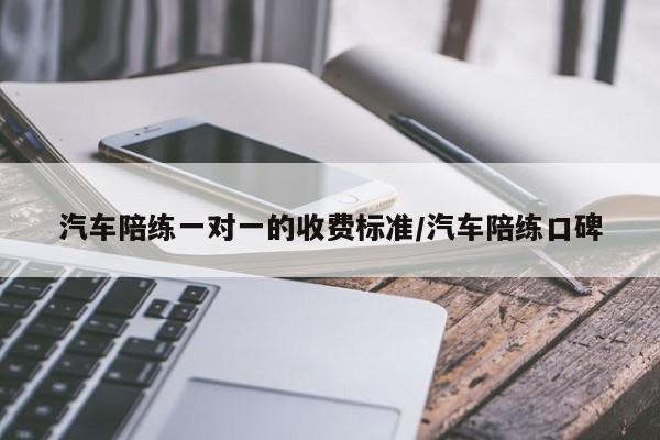 汽车陪练一对一的收费标准/汽车陪练口碑