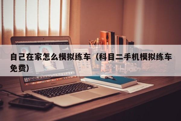 自己在家怎么模拟练车(科目二手机模拟练车免费)