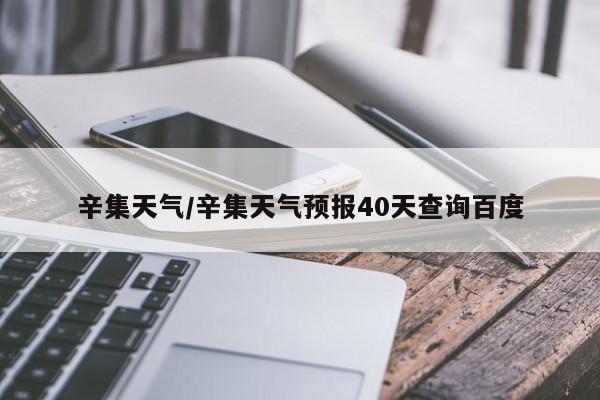辛集天气/辛集天气预报40天查询百度